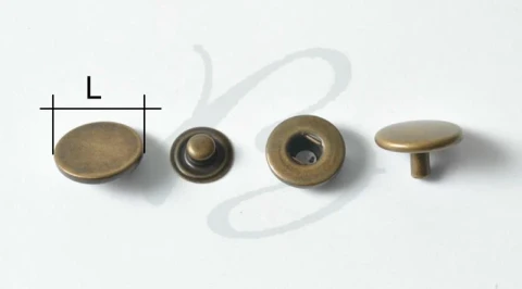 BRASS BUTTON WITH DOUBLE COIN HEAD