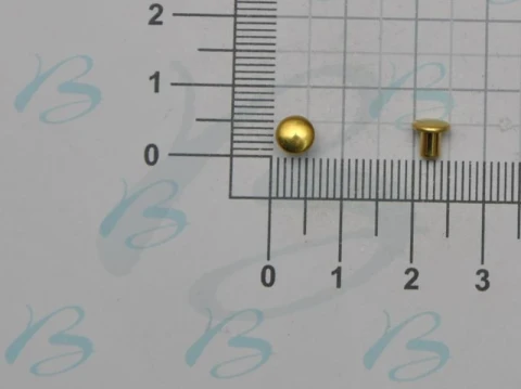 BRASS CAPPED SHANK 5.6 mm IN VARIOUS LENGHT AND COLOURS 